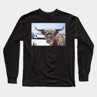 Highland Cow In Winter Long Sleeve T-Shirt